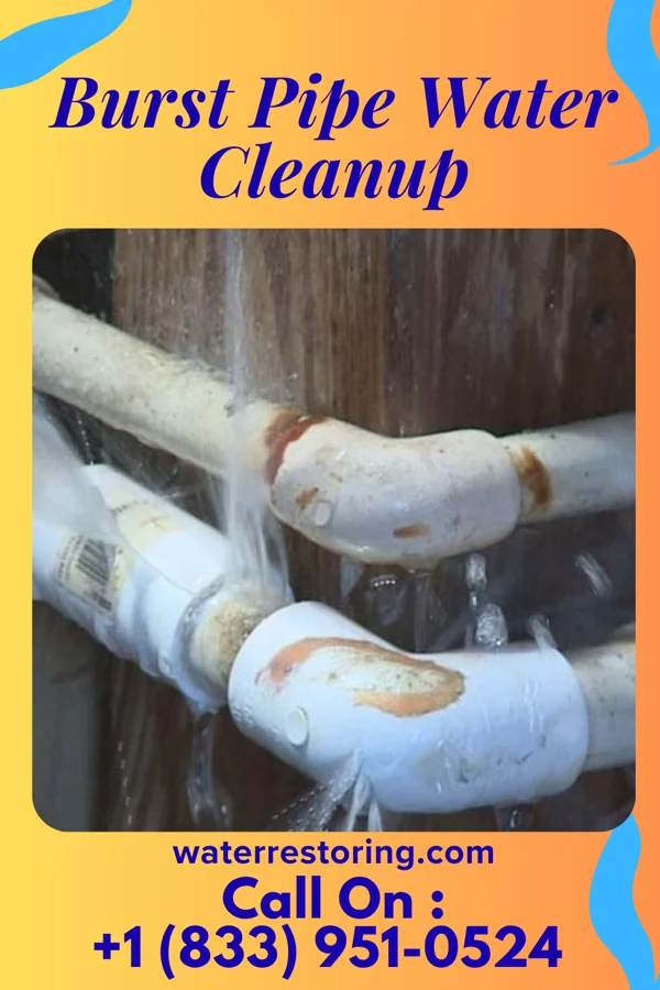 Burst Pipe Water Cleanup in Meta, MO