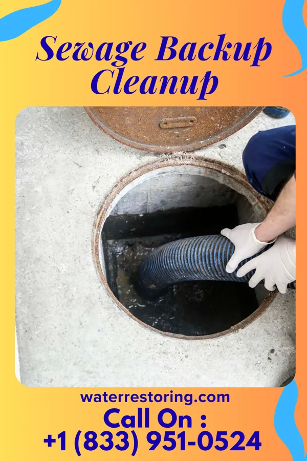 Sewage Backup Cleanup in Meta, MO