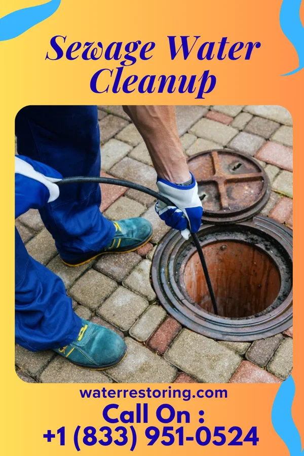 Sewage Water Cleanup in Meta, MO