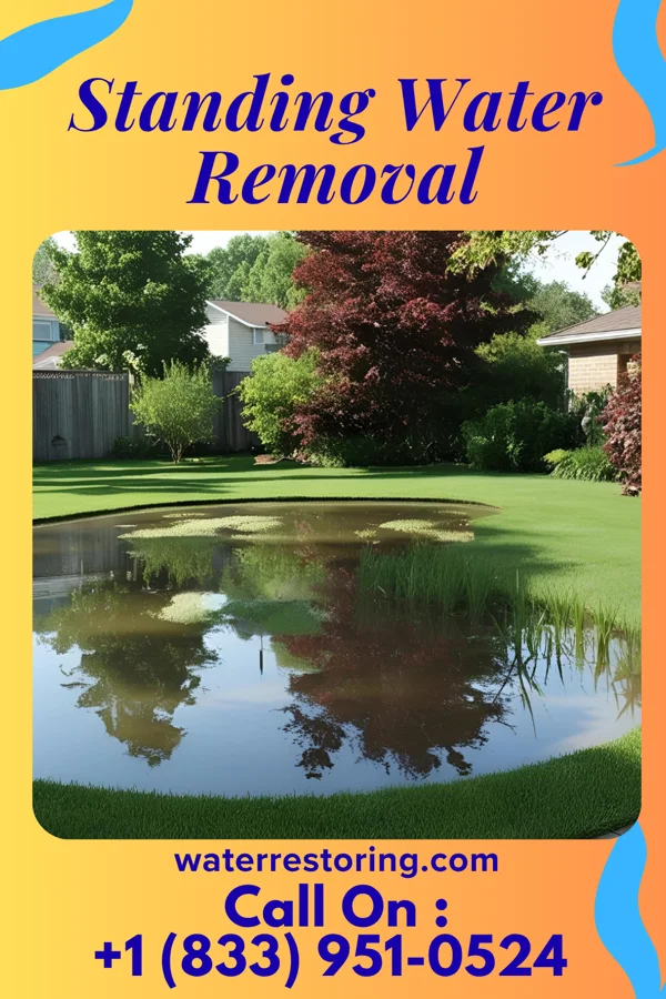 Standing Water Removal in Meta, MO
